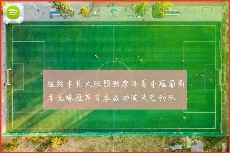 纽约市长大胆预测摩洛哥夺冠葡萄牙无缘冠军日本成功淘汰巴西队